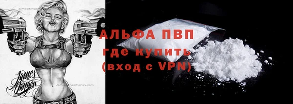 дживик Богородск