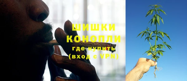 бошки Богородицк