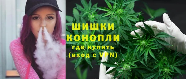 дживик Богородск