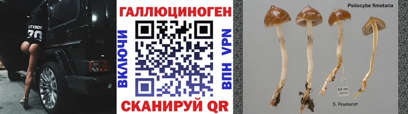 Галлюциногенные грибы MAGIC MUSHROOMS  hydra ССЫЛКА  площадка наркотические препараты  Кирсанов 